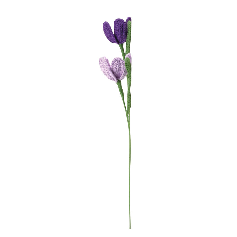 Tulips Purple, 2 asst