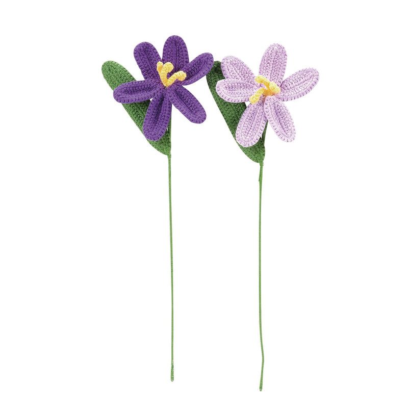 Tulips Purple, 2 asst