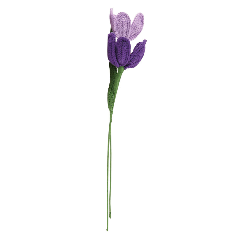 Tulips Purple, 2 asst