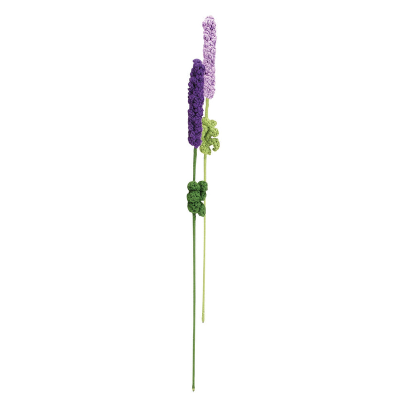 Lavendar, 2 asst