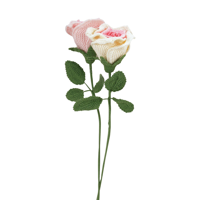 Roses, 2 asst