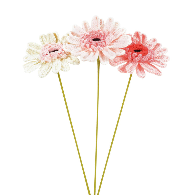 Gerberas, 3 asst