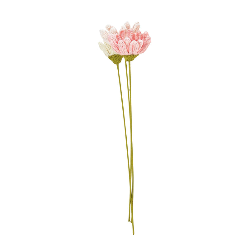 Gerberas, 3 asst