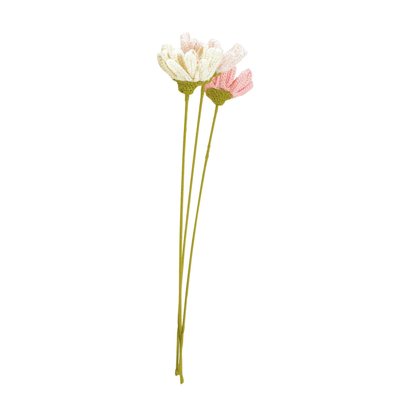 Gerberas, 3 asst