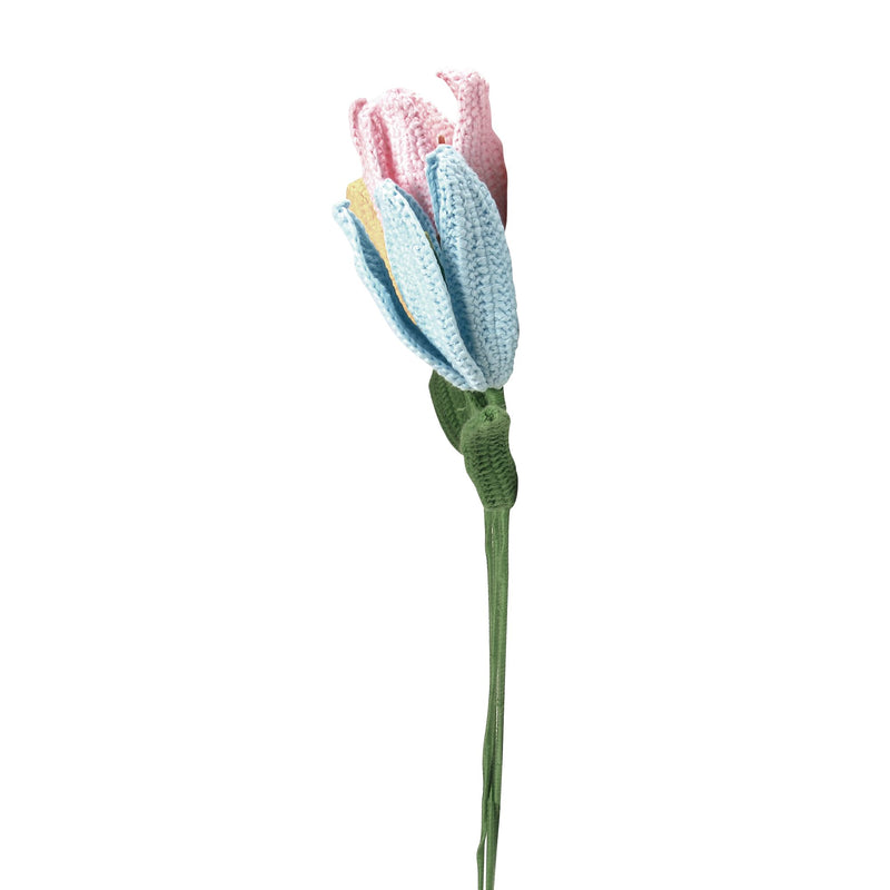 Lillies, 3 asst