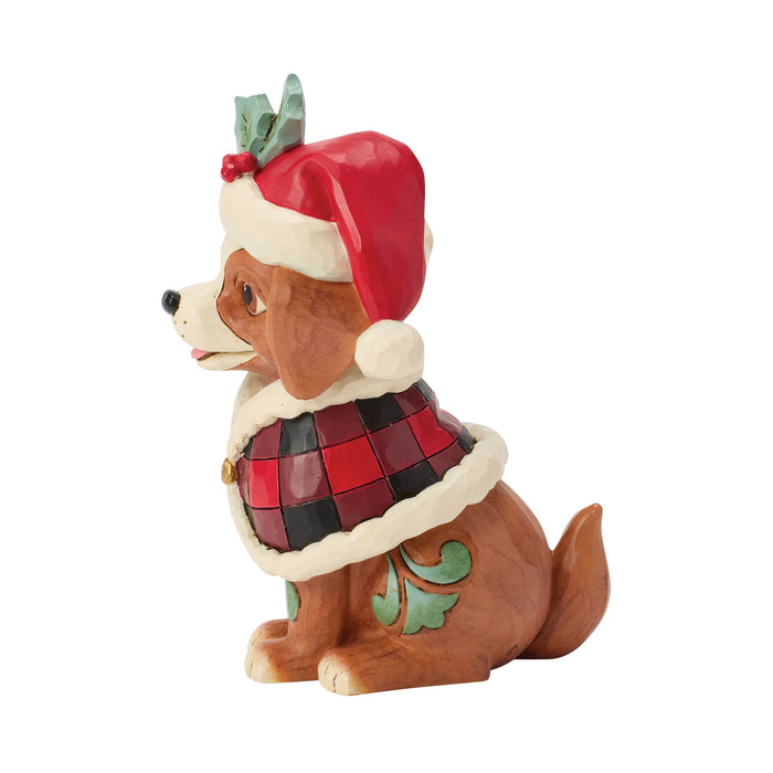 Highland Glen Dog Cape Fig