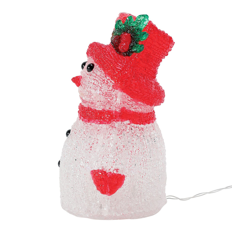 Snowman LED Decor