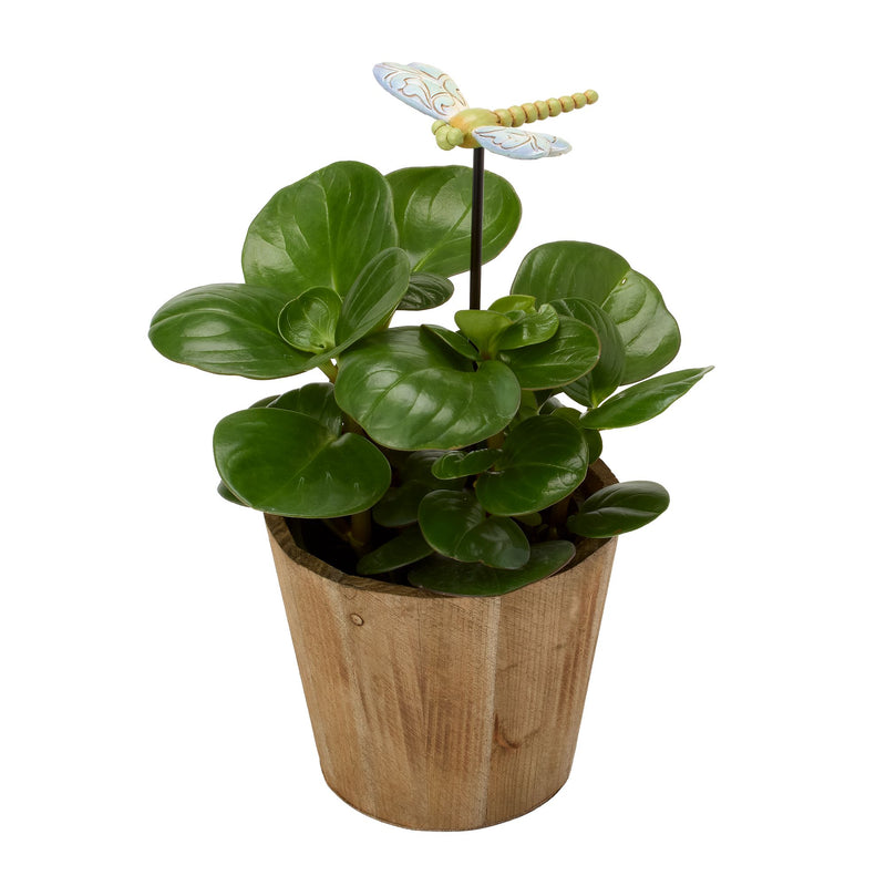 Dragonfly Plant Stake