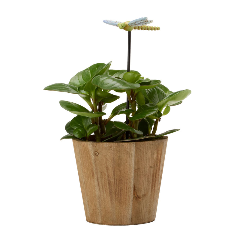 Dragonfly Plant Stake
