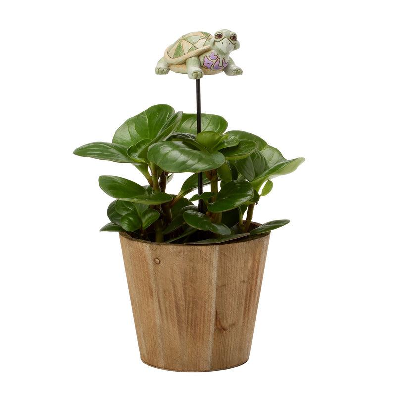 Plant Stake Turtle