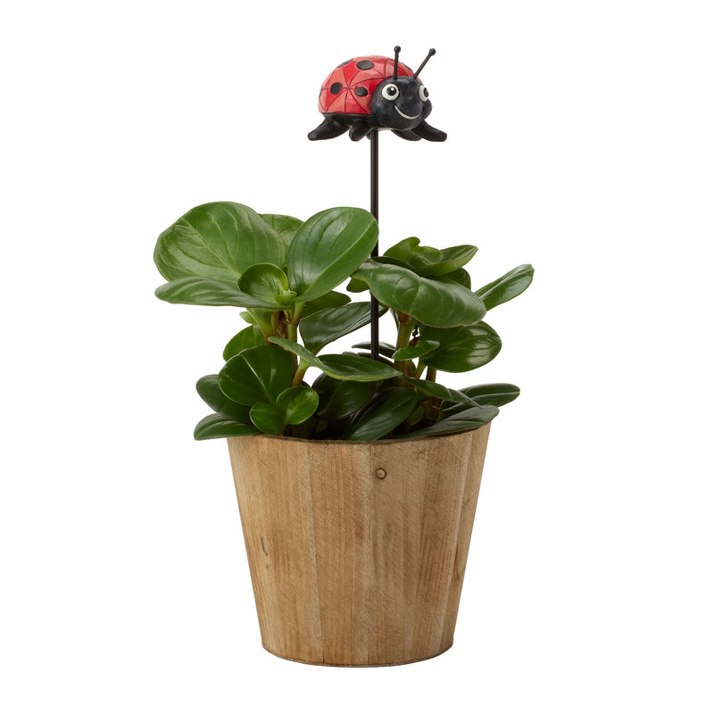 Plant Stake Ladybug
