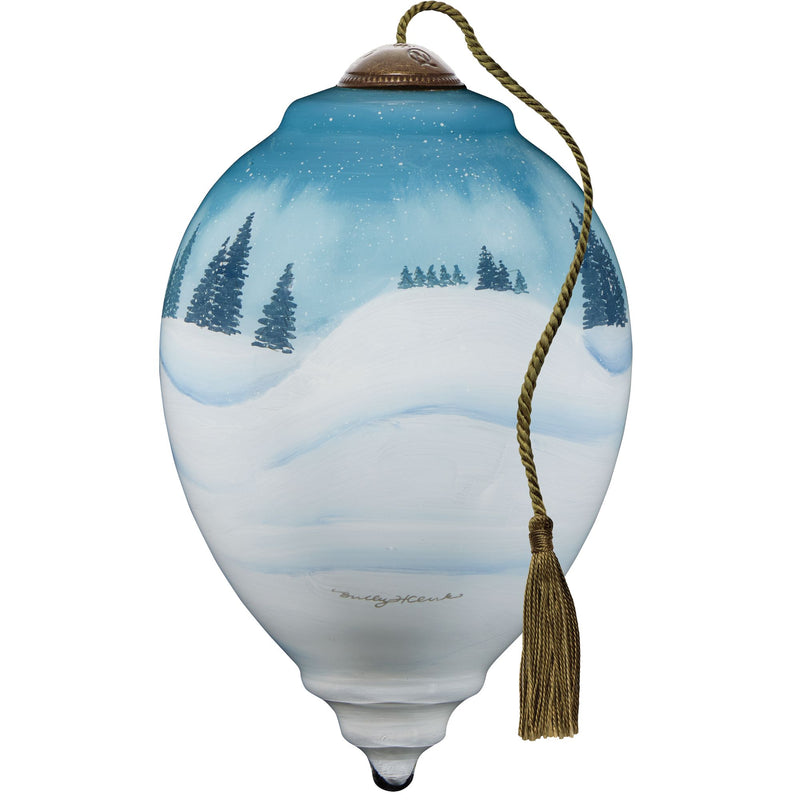 Believe Wonder Christmas Orn