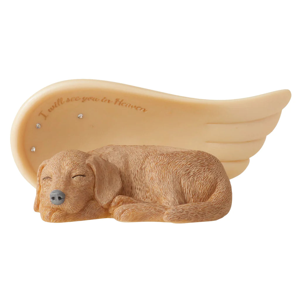 Angel Collection