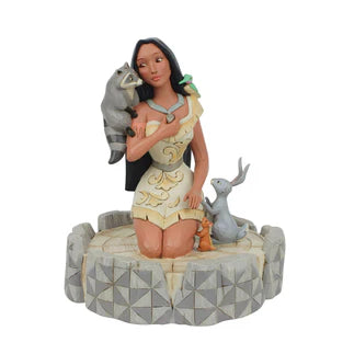 Enesco Gift Shop Jim Shore Disney Traditions collection