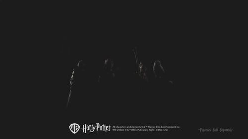 Harry Potter Room with a View