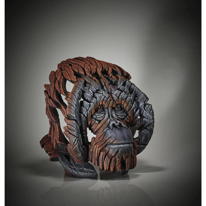 Orangutan Bust
