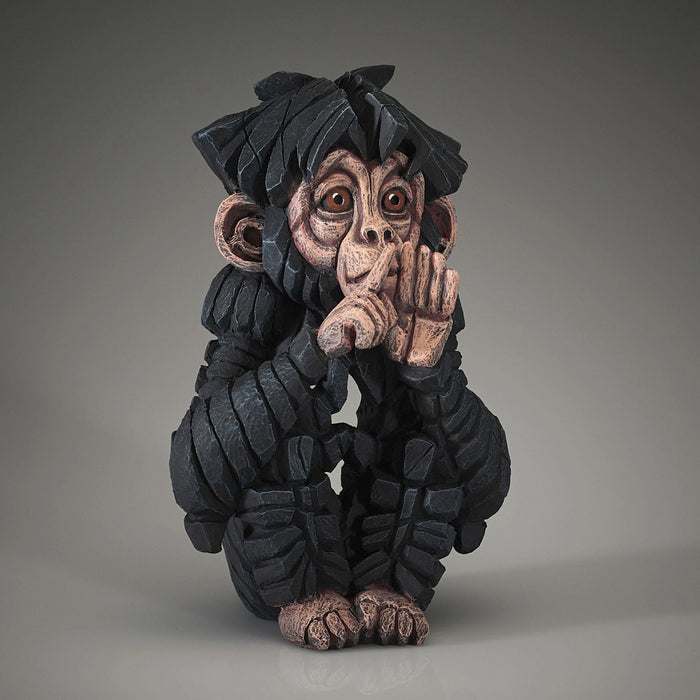 Speak No Baby Chimpanzee