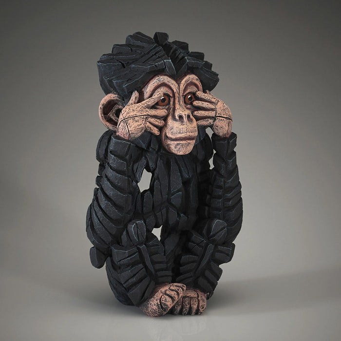 See No Baby Chimpanzee
