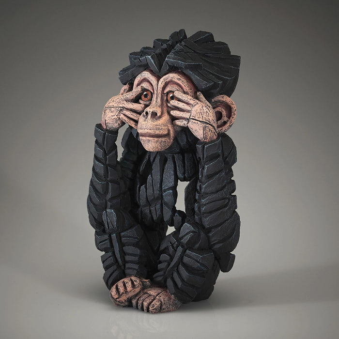 See No Baby Chimpanzee